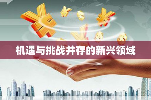 定陶机遇与挑战并存的新兴领域