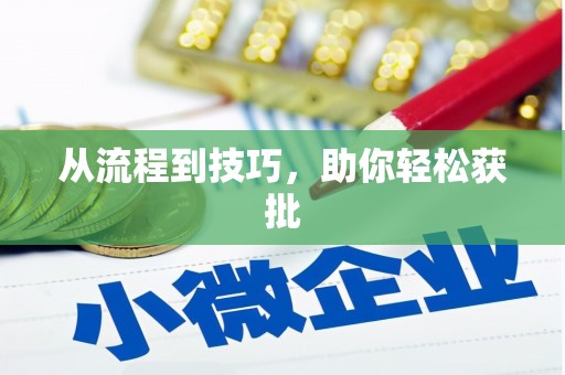 定陶从流程到技巧，助你轻松获批