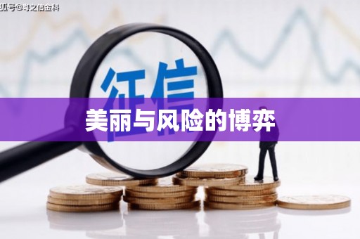 定陶美丽与风险的博弈