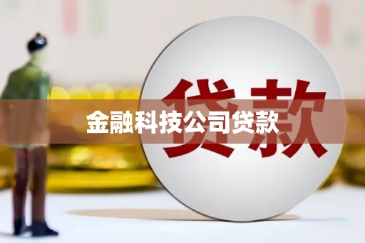 定陶金融科技公司贷款