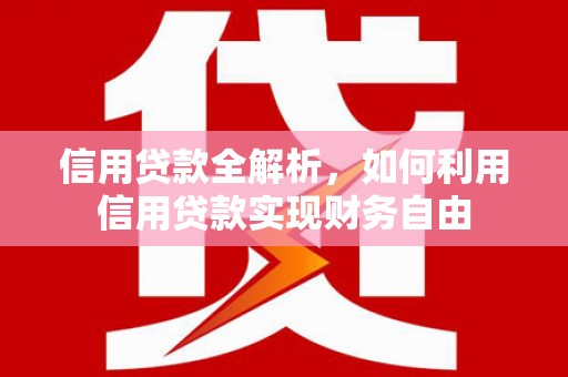 定陶信用贷款全解析，如何利用信用贷款实现财务自由