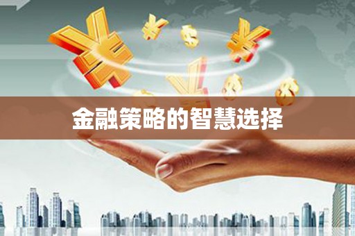 定陶金融策略的智慧选择