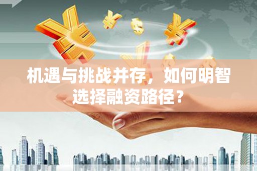 定陶机遇与挑战并存，如何明智选择融资路径？