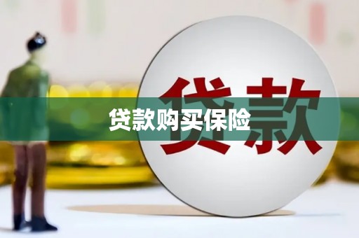 定陶贷款购买保险