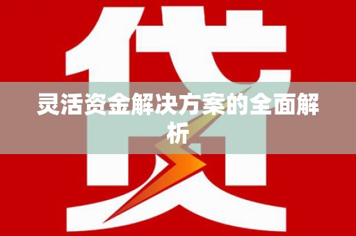 定陶灵活资金解决方案的全面解析
