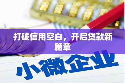 定陶打破信用空白，开启贷款新篇章