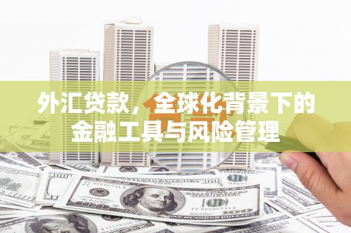 定陶外汇贷款，全球化背景下的金融工具与风险管理
